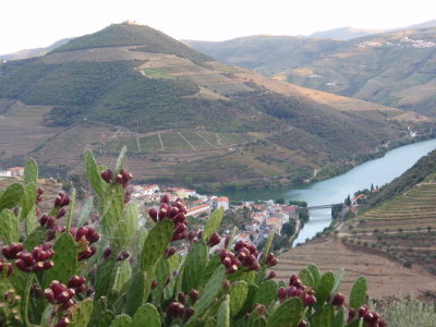 The town of Pinh&atilde;o and the Rio Douro.